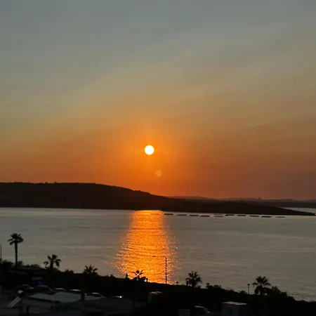 Clover Leaf B 03 By Homely Malta! *