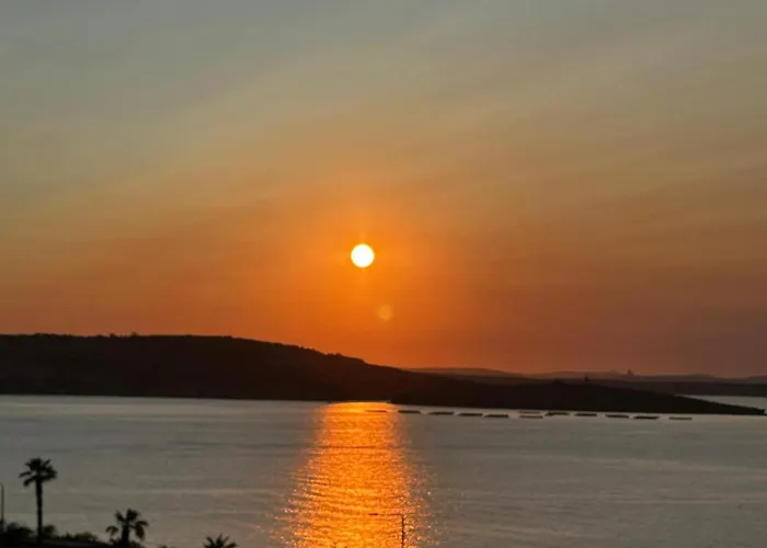 Clover Leaf B 03 By Homely Malta! *