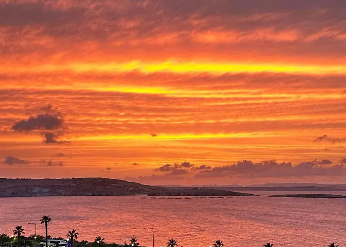 Clover Leaf B 03 By Homely Malta! *